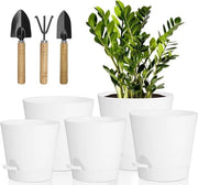 Piantine Autoirriganti - Moderne e Decorative - 5 Pezzi - Bianco