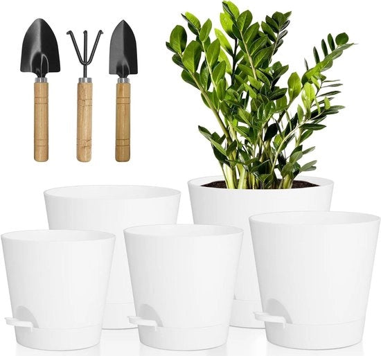 Piantine Autoirriganti - Moderne e Decorative - 5 Pezzi - Bianco