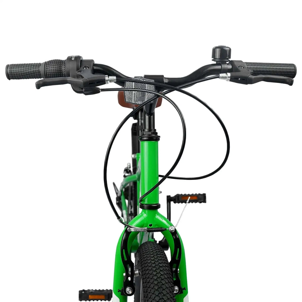 Mountain Bike 20 Pollici 6-Speed per bambini di 5-8 anni Verde