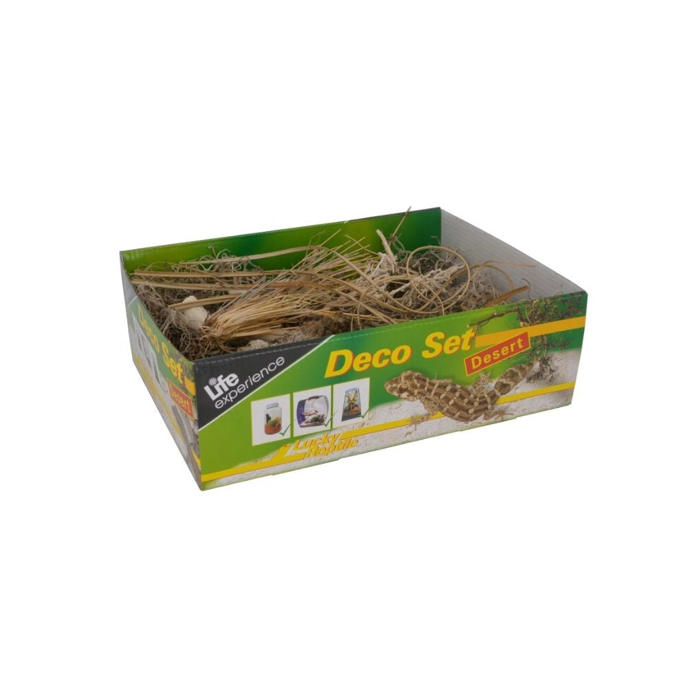 Lucky Reptile Deco Set Desert – Set Decorazioni a Tema Deserto per Terrari