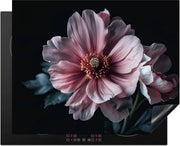 Piatto di copertura, piatto da cucina unico in ceramica, piatto di copertura, protezione inductive, cucina, decorazione, piatto vinile, pieghevole, fiori, rosa, botanico, nero, still life, natura, 65 x 52 cm