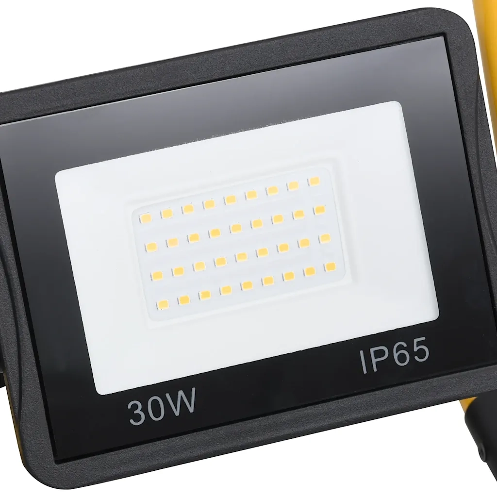 Faretto a LED con Maniglia 30 W Bianco Freddo 149640