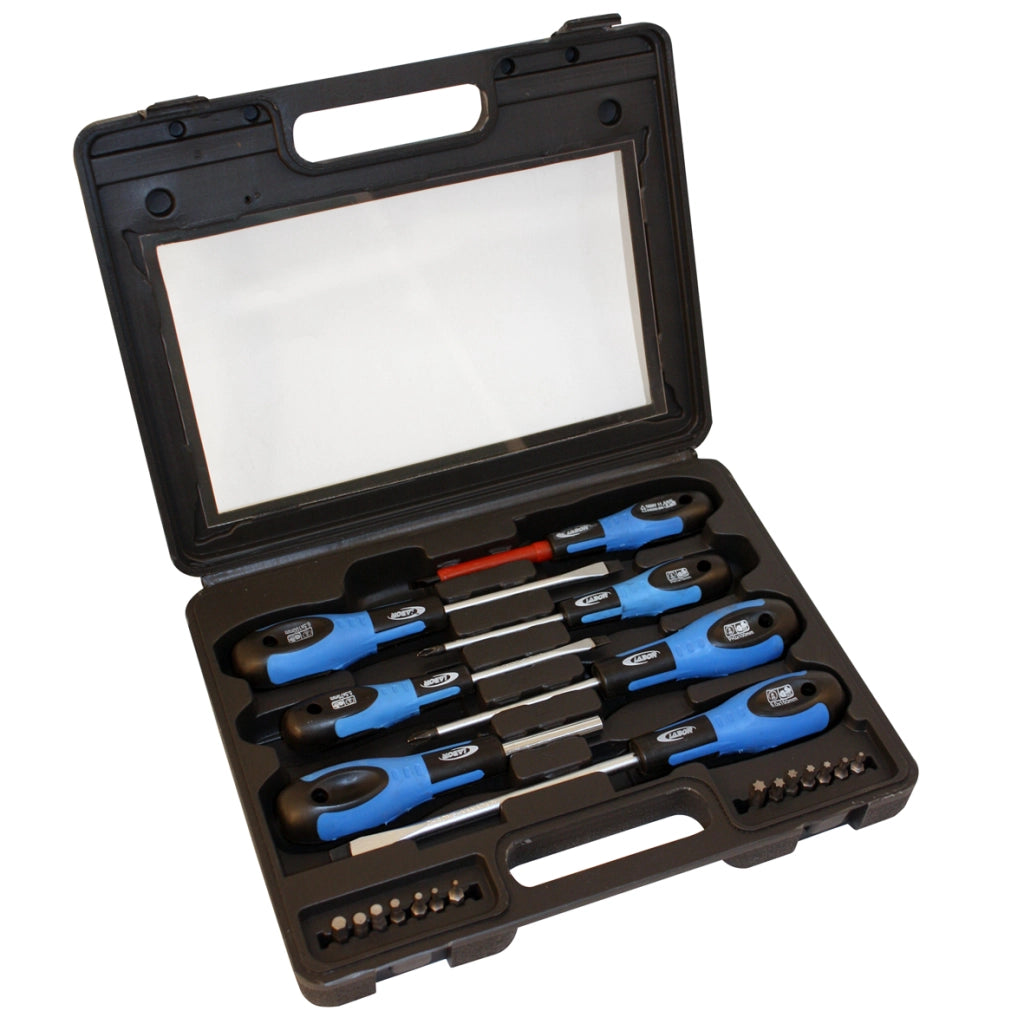 Set Cacciaviti + Bits 21 Pz