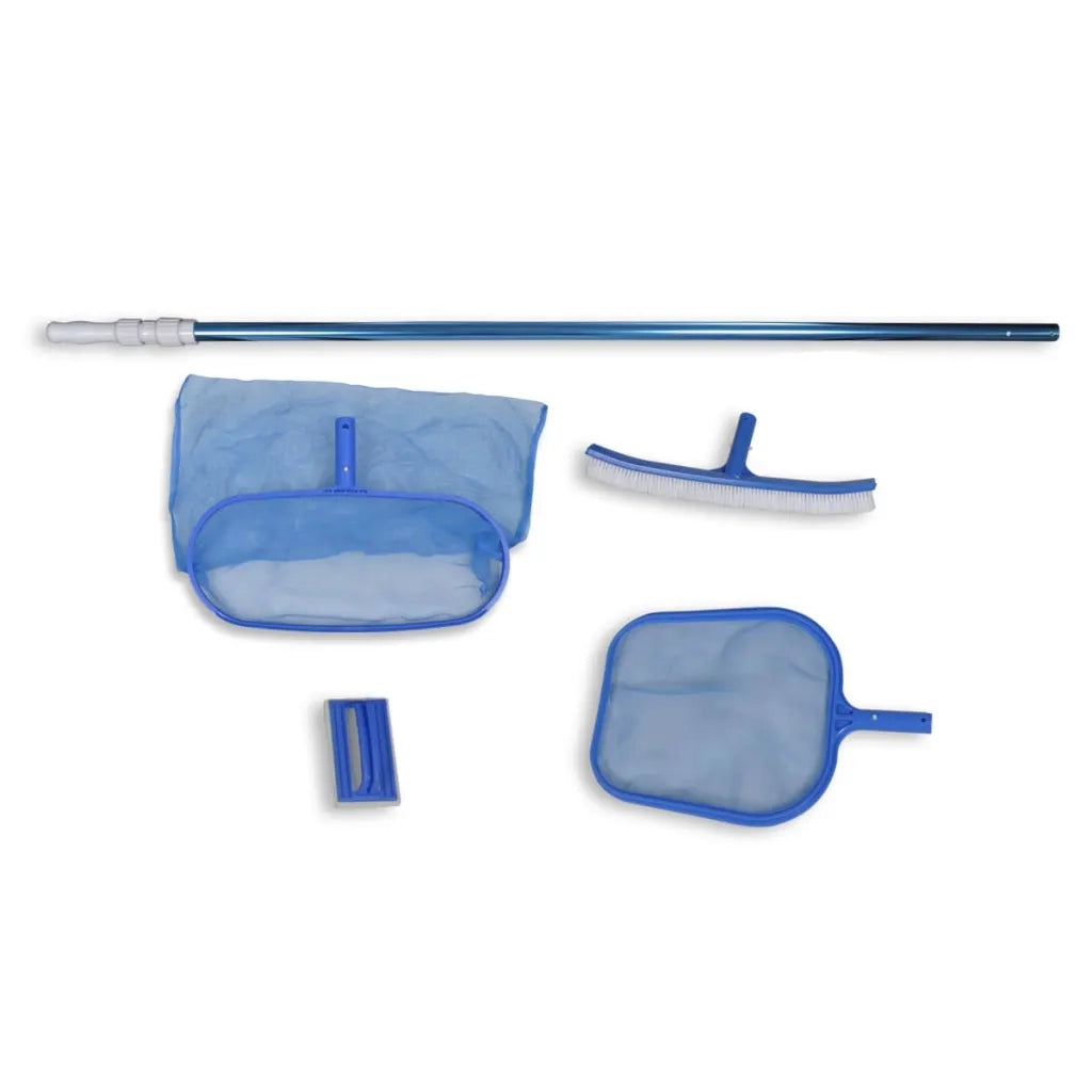 Set pulizia piscina spazzola 2 schiumatoi foglie 1 palo telescopico CFW8219651