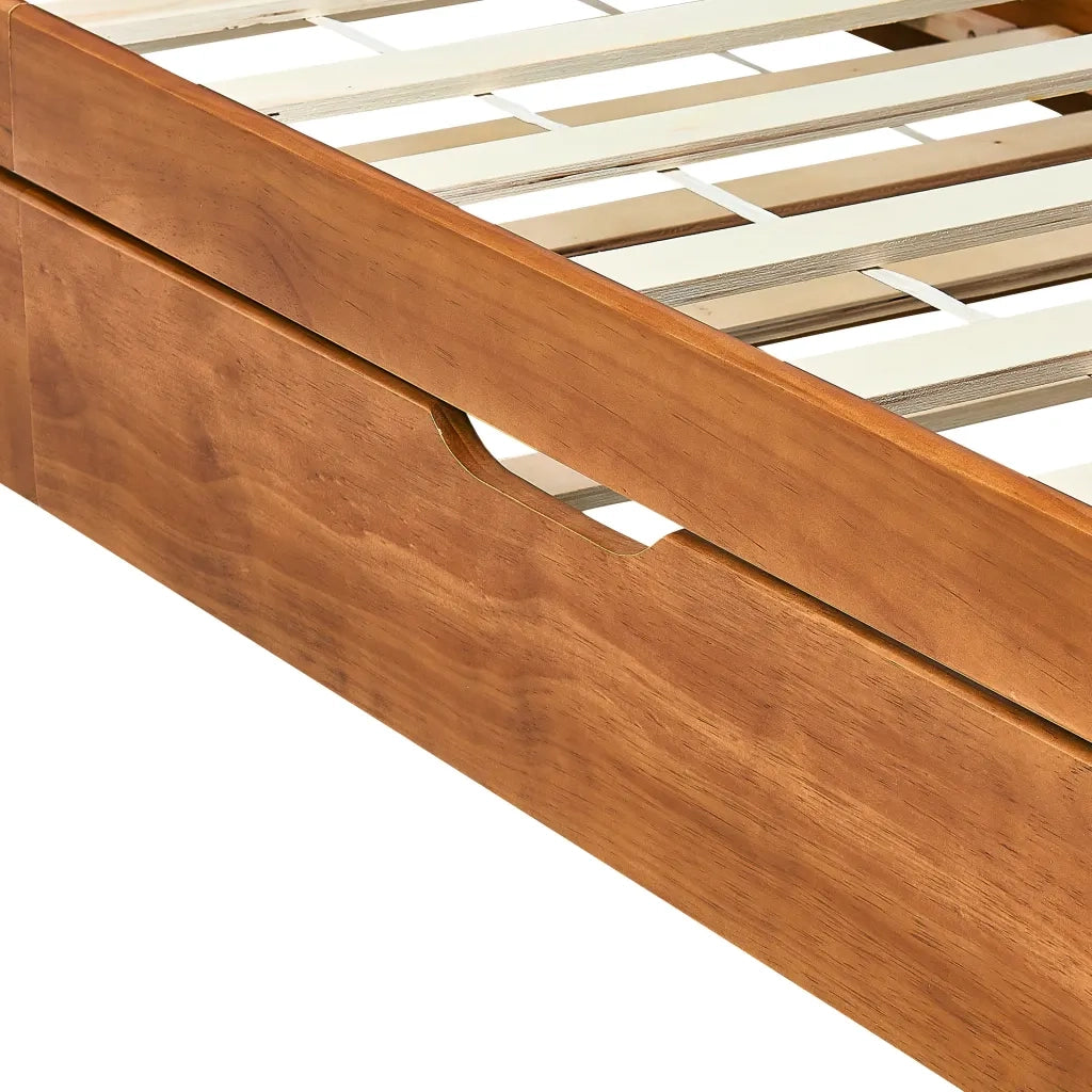 Dormeuse Estraibile senza Materasso Marrone Ambrato 90x200 cm 283153