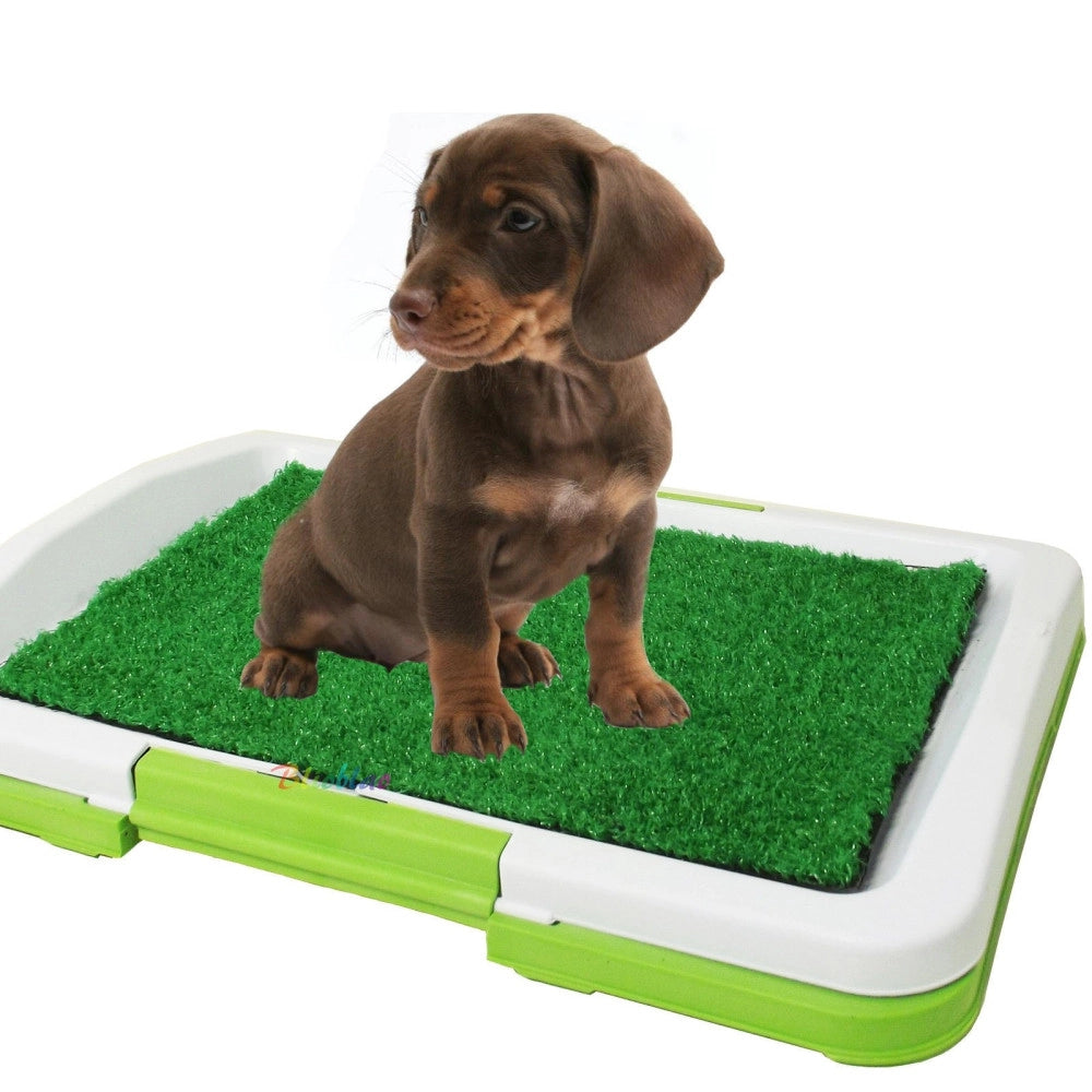 Trade Shop - Lettiera Maxi Per Cucciolo Cane Erba Wc Panno Assorbente Potty Cuccioli Casa -
