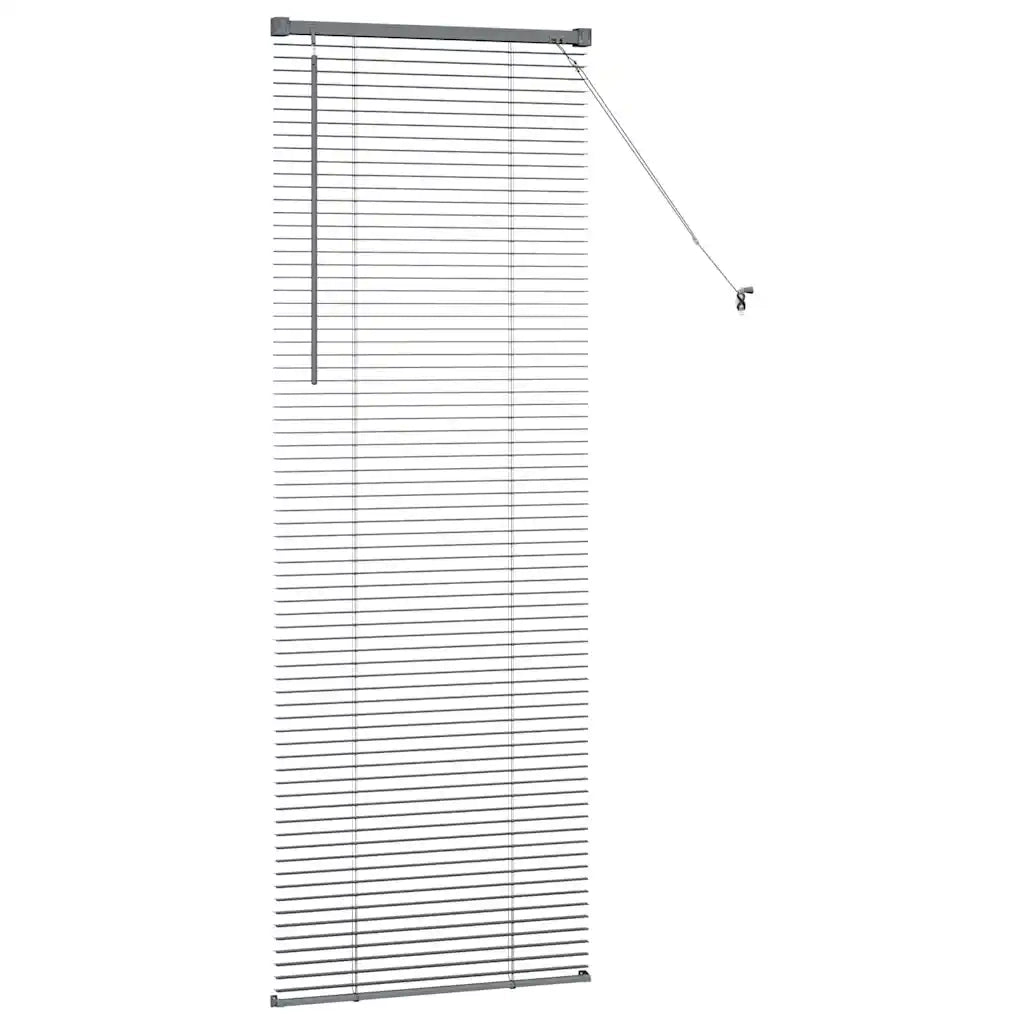 Tendaggi a Veneziana | Tenda a lamelle Grigio scuro 175 x 65 cm Alluminio
