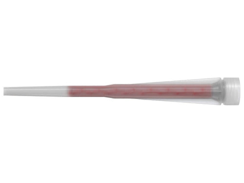 BECCUCCI UNIVERSALI A.545853