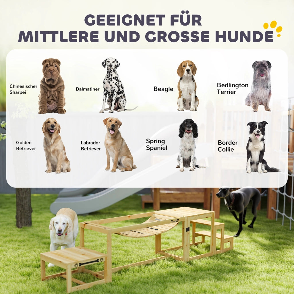 Set di agility per cani, set da 4 pezzi per l'addestramento del cane con ponte, scale, piattaforma, attrezzatura per agility realizzata in legno di