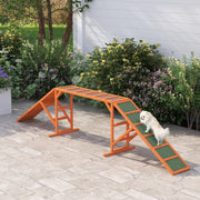 RAMPA PER AGILITY PER CANI 325 x 55 x 69 cm Arancione in legno