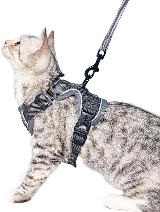 Zak da cat per grandi gatti, supporto emotivo, vestito per gatti, colore grigio, L