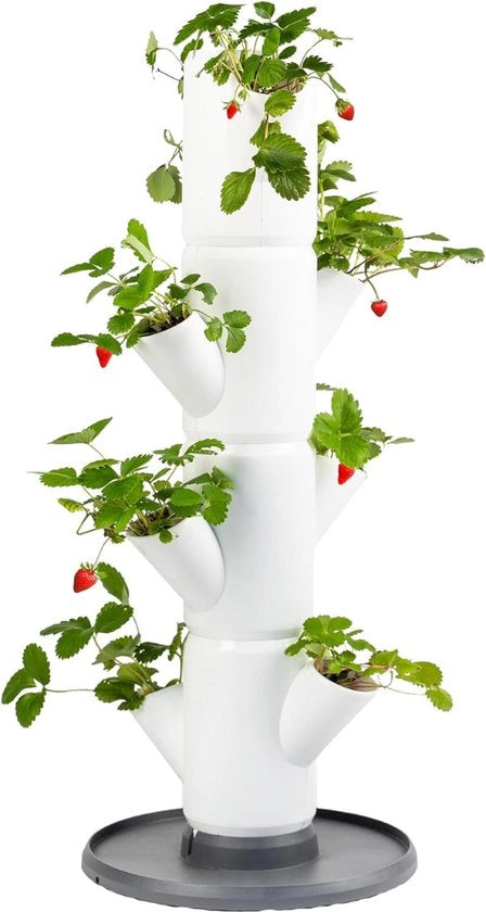 Pianta Verticale - Sacchetto per Piante Appeso - Indoor e Outdoor - Adatto per Balcone