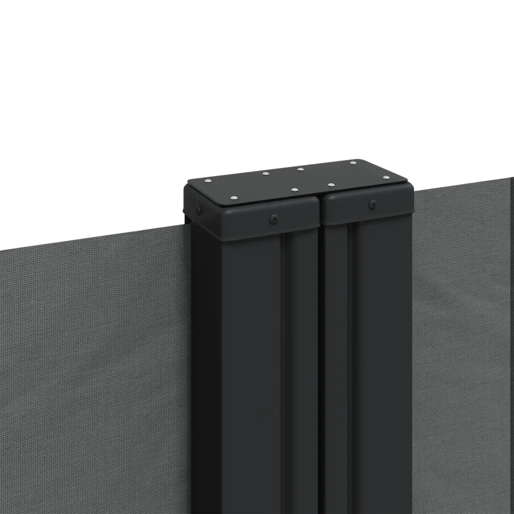 Tenda da Sole | Tenda parasole Laterale Retrattile Antracite 160x1000 cm