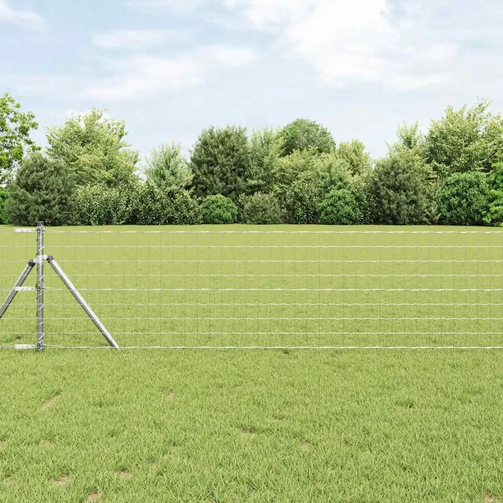 Recinzione con Posto Argento 0,8 x 25 m Acciaio e PVC 3350531