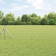 Recinzione con Posto Argento 0,8 x 25 m Acciaio e PVC 3350531
