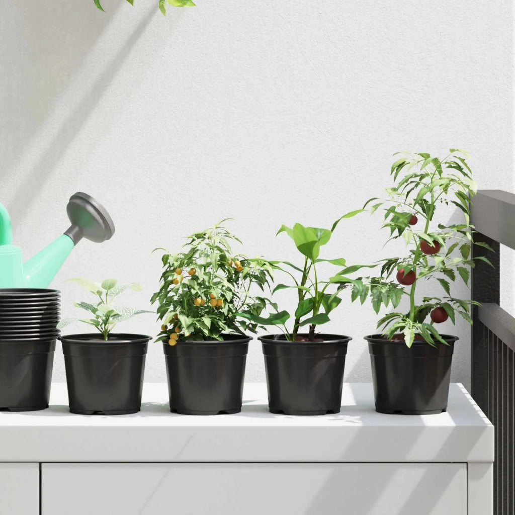 Fioriere | Cassetta per fiori | Vaso Rotondo per Fiori 100 pz Nero ? 10 x 8 cm Plastica
