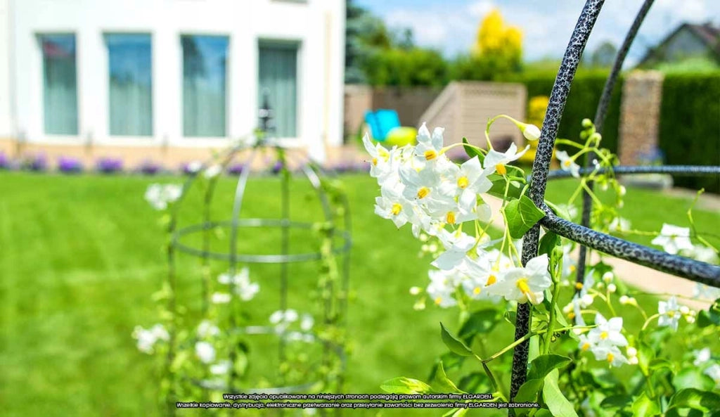 Pergola da giardino KADAX per piante, fiori, obelisco per fiori e rampicanti, in metallo, 120 cm