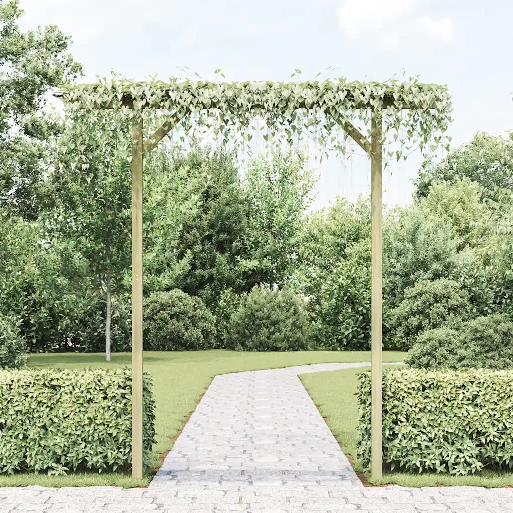 Pergolato da Giardino 205x40x203 cm in Legno 41663