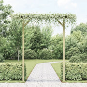Pergolato da Giardino 205x40x203 cm in Legno 41663