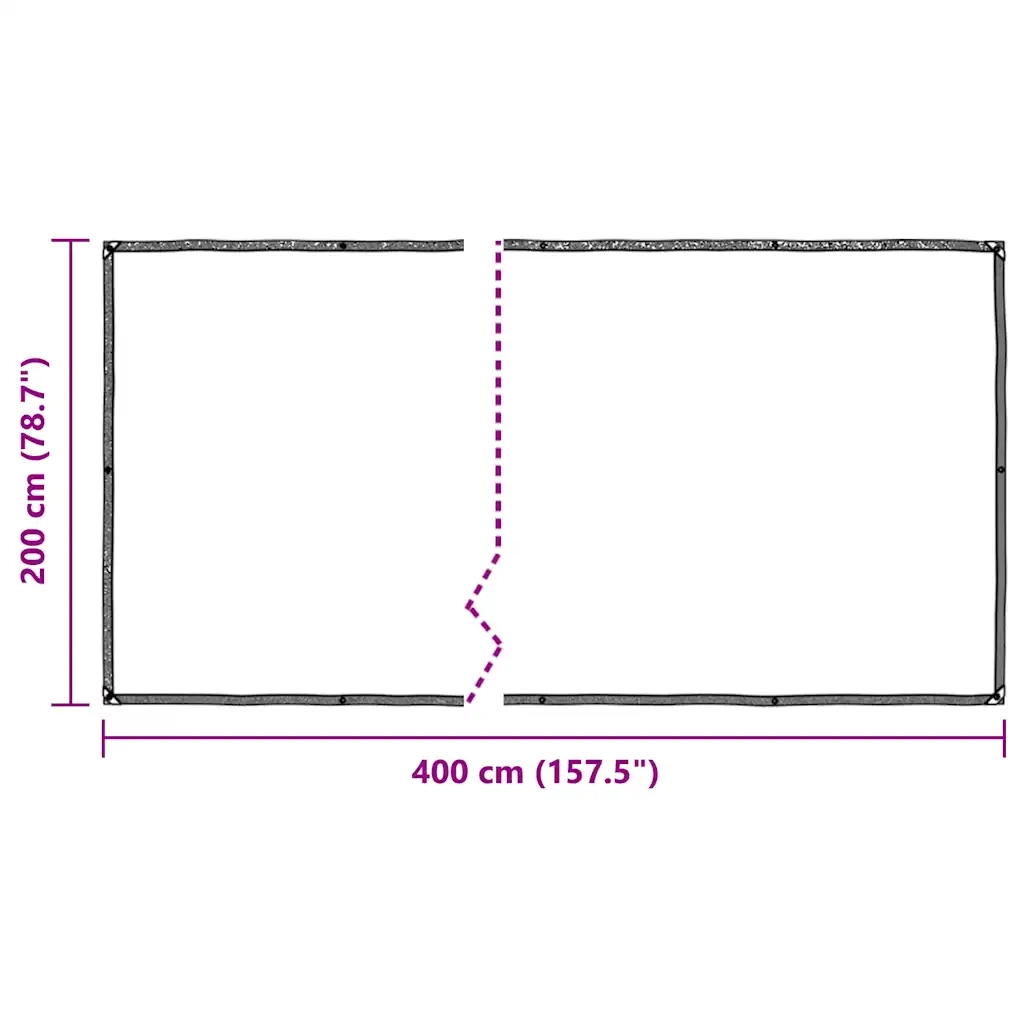 Telone Trasparente con Occhielli 2x4 m in Polietilene 4018549