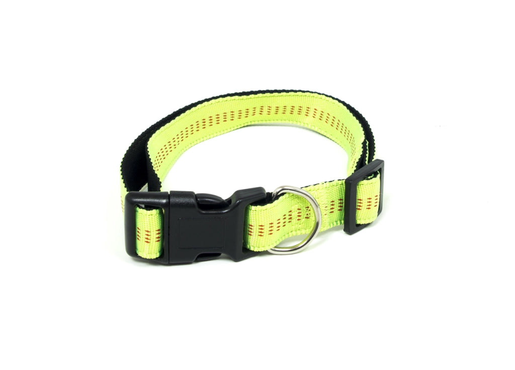 Comodo E Resistente Collare Per Cani Regolabile Modello Color Doggy - L - Verde