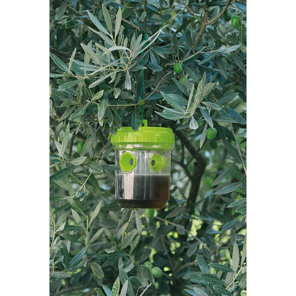 Verdemax 2 Trappole in Scatola per vespe