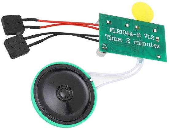 Registrazione Audio 120 Secondi - Carta di Desideri DIY - Scatole Regalo - Inviti - Funzione di Registrazione Facile da Usare - Colore Verde - Modulo Audio
