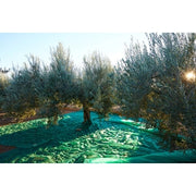 C RETE P/OLIVE ANTISPINA 80G C/SPACCO  8X 8M