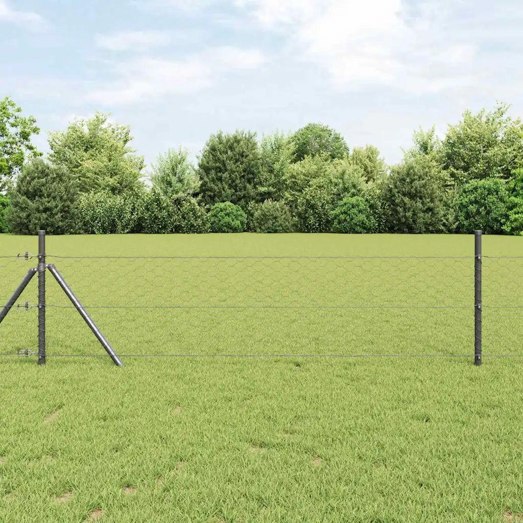Recinzione da Giardino | Recinzione Esagonale Grigio 1,2 x 50 m PVC