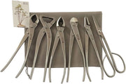 Set di strumenti per bonsai 6 pezzi - taglierino per foglie, spaccatrame, taglierino concavo, taglierino filo, Jin Tang, forbice per bonsai