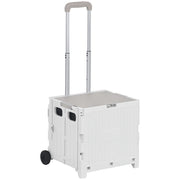 Carrello per Supermercato con 2 Ruote e Manico Regolabile ¨C zephmum ¨C Bianco 41,5x32,5x85 cm
