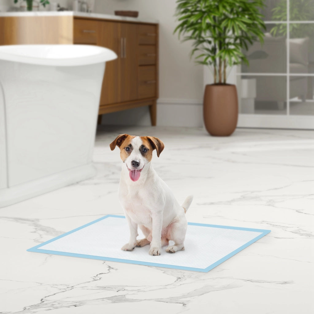 Tappetini Assorbenti per Cani ¨C zephmum ¨C Blu 45x60 cm 100 Unit¨¤