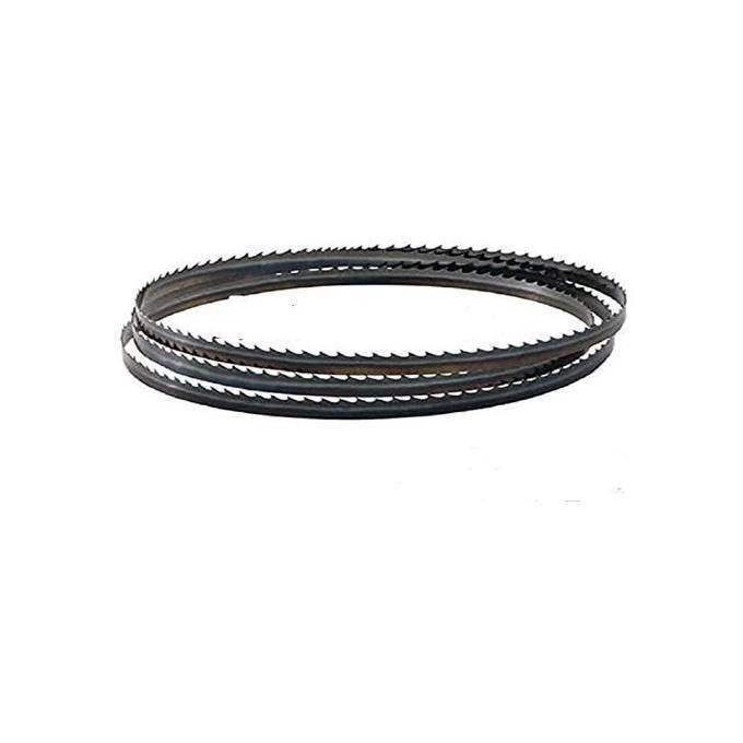 Compa Tech BS250B-B1 Lama Sega a Nastro per Legno e Plastica 1790x6x0,65 mm T.6 compatibile con Sega a Nastro BS250B colore Nero