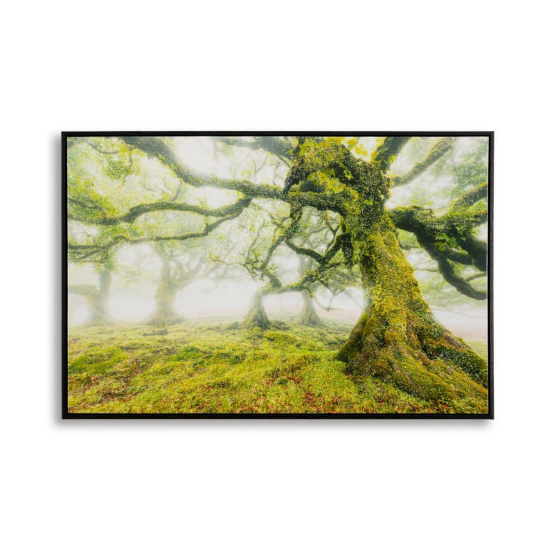 Stampa Su Tela Laccata Con Cornice Foresta cm 90x4x60