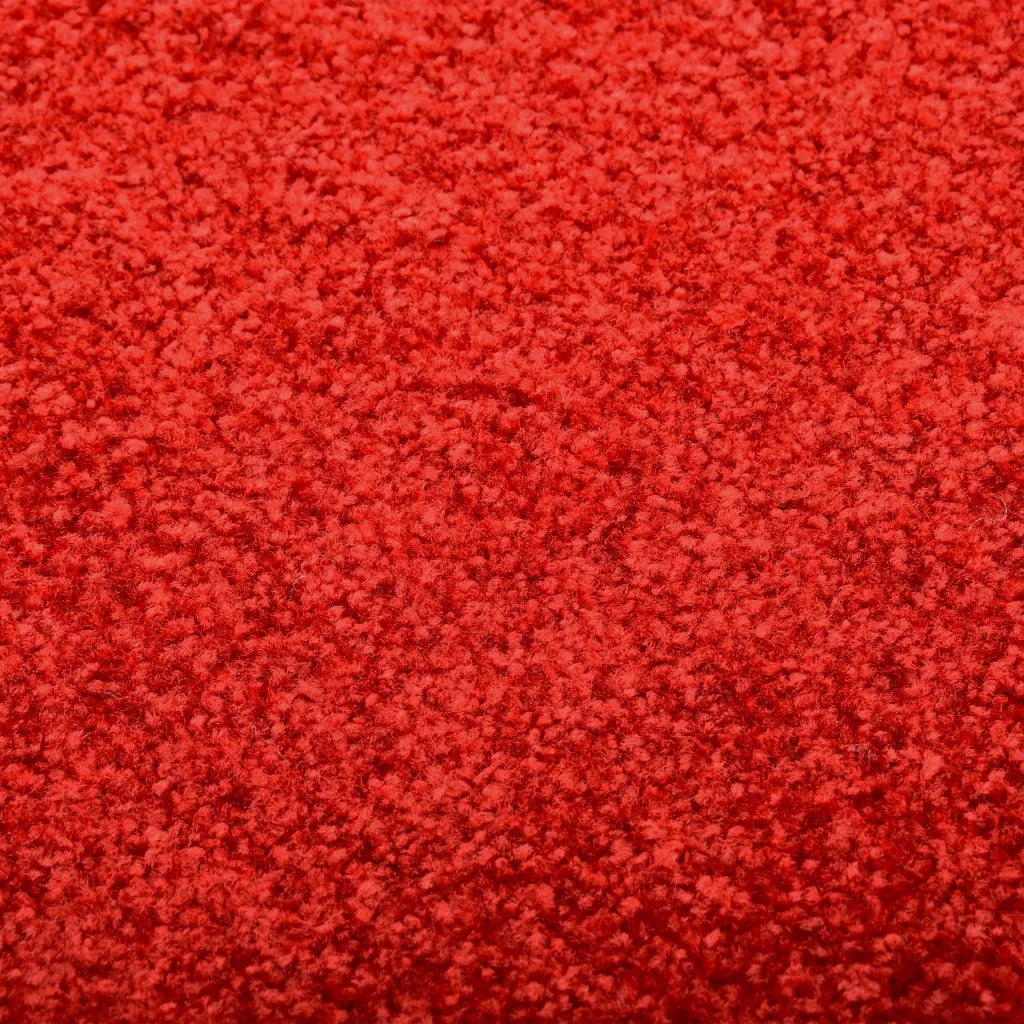 Zerbino Lavabile Rosso 40x60 cm 323421
