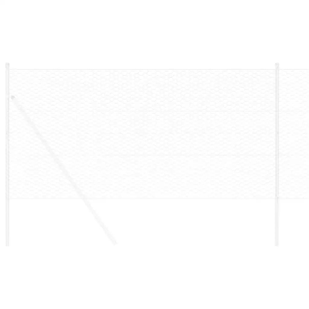 Recinzione Esagonale Argento 1 x 100 m Acciaio zincato 42005755