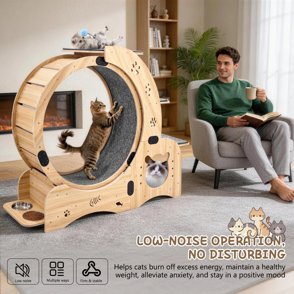 Ruota per gatti 6 in 1, ruota per esercizi per gatti, ruota per esercizi per gatti da interno migliorata, tapis roulant per gatti di grandi dimensioni