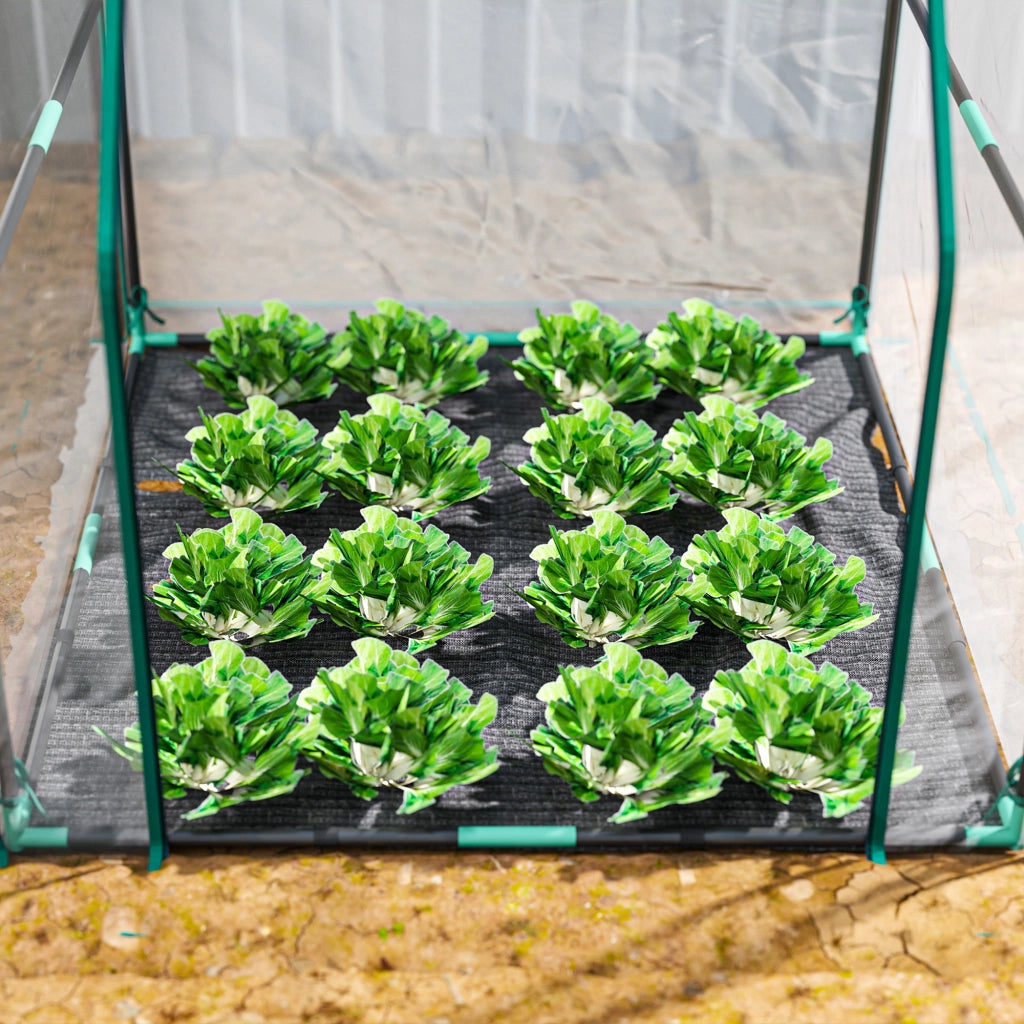 Serra da Giardino ¨C zephmum ¨C 90x90x105 cm Transparente