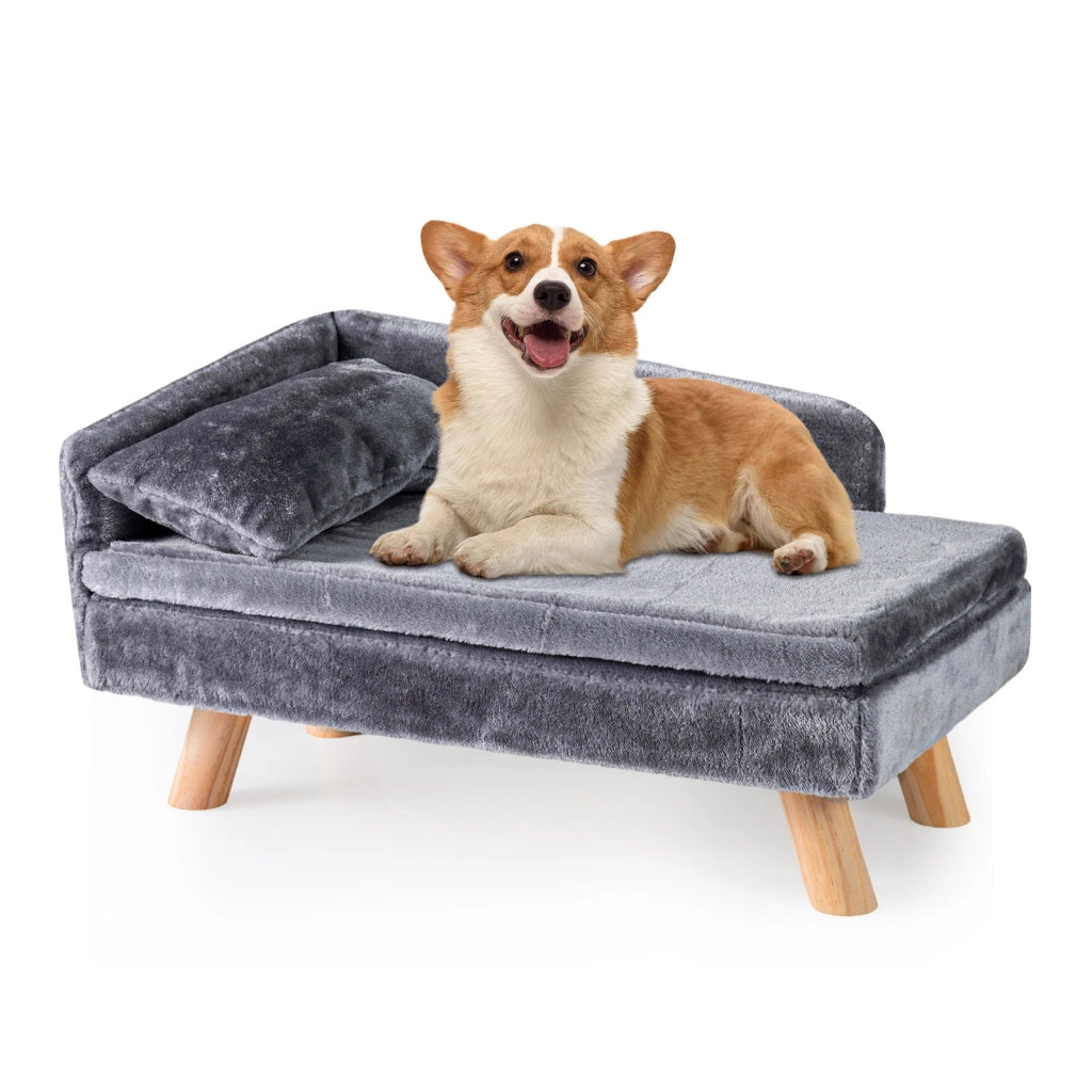 Divanetto per animali letto elevato cani taglia media e piccola, Divanetto per animali schienale alto sedia per gatti interno Grigio