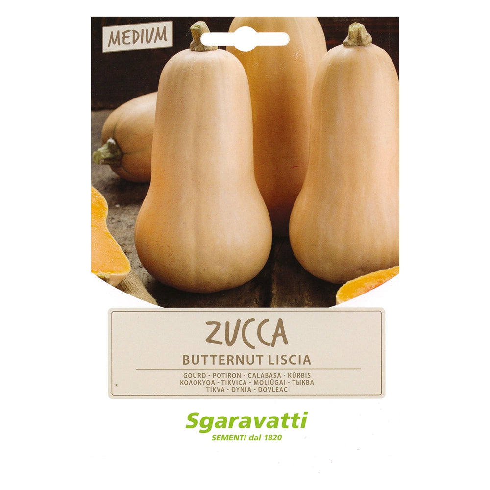 Semi per Ortaggi e Vegetali Zucca Butternut Liscia Sgaravatti 10 Pezzi