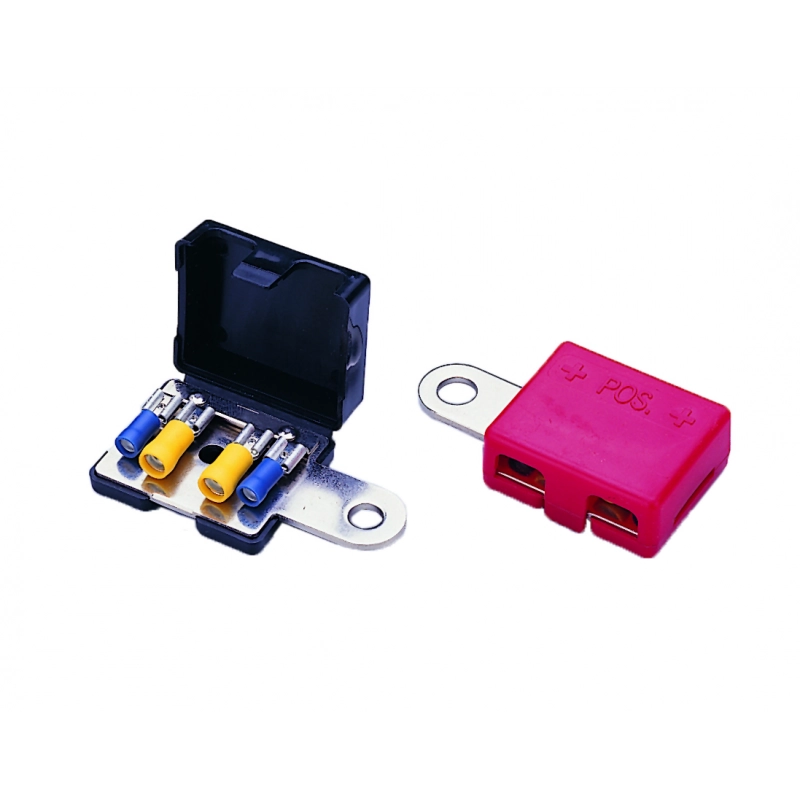 COPPIA TERMINALI BATTERIA BATTERY TERMINALS