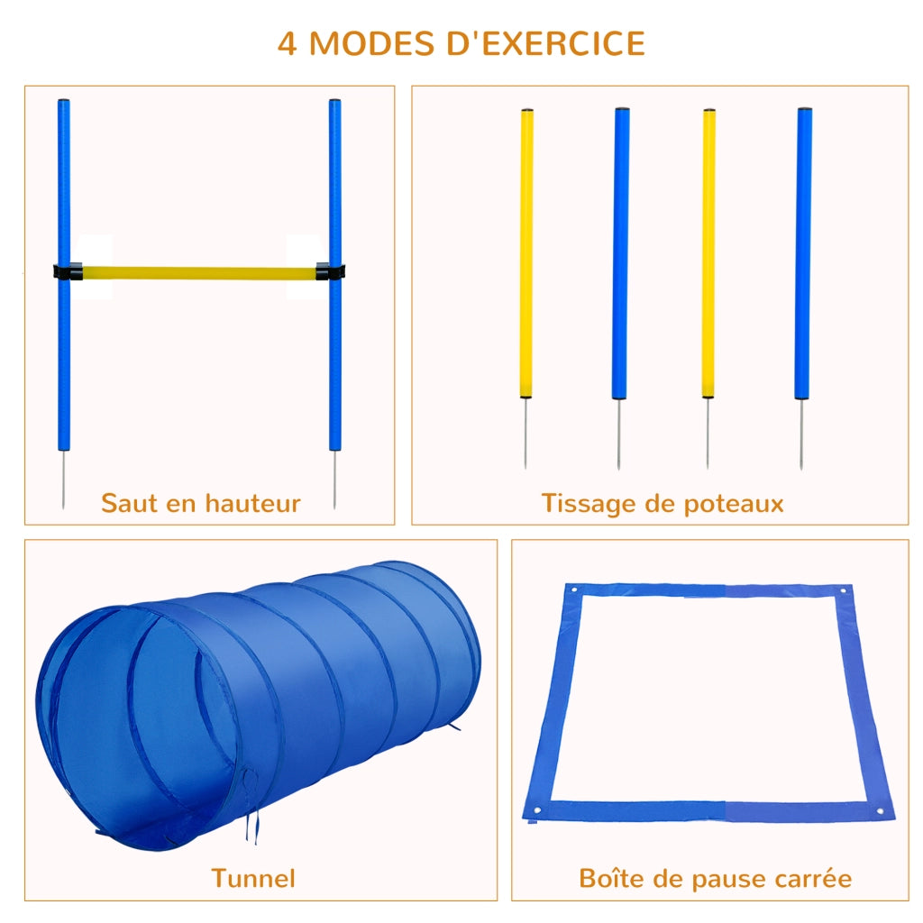 Set Agilit¨¤ per Cani ¨C Minimal ¨C Blu e Giallo