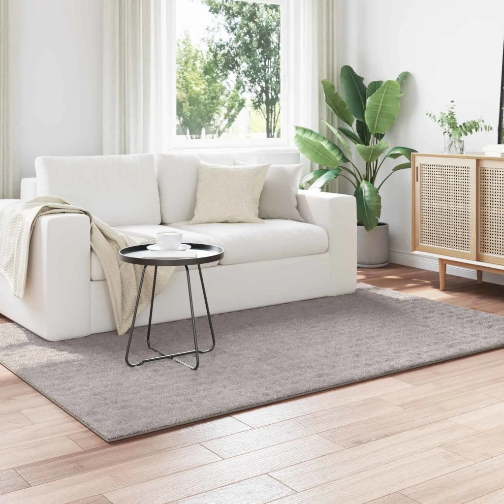 Tappeti per area | Tappeti a zone SIROLO Sabbia 170 x 120 cm Poliestere