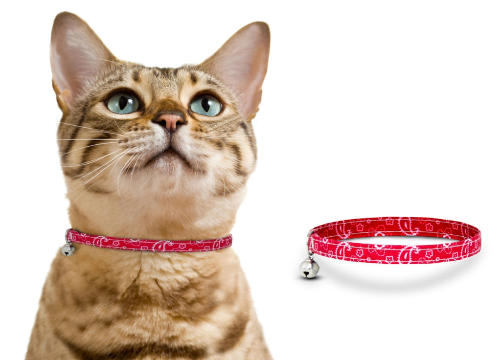 Set 2 Collare Gatto Modello Easy 1 Blu 1 Rosso Estendibile Con Sonaglio
