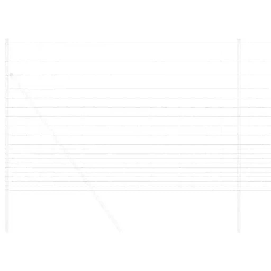 Recinto Selvaggio Zincato a Caldo 1000 x 160 x 0,18 cm Ferro 42005797