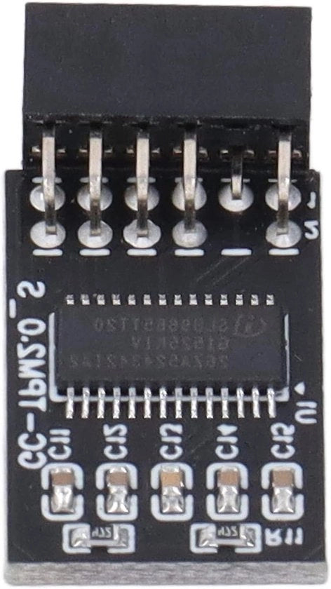 Adattatore 12Pin SPI TPM 2.0 per Scheda Madre B450M - Modulo di Sicurezza con Processore Criptografico