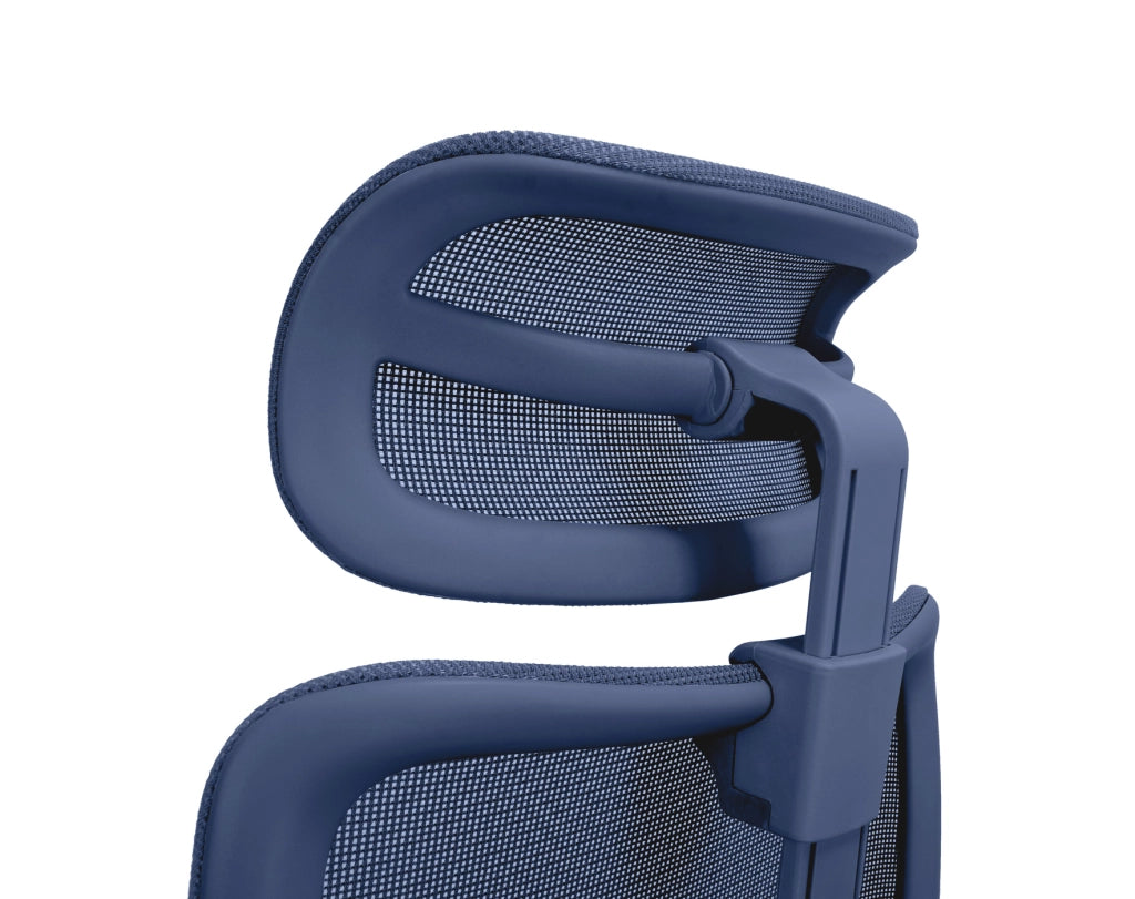 Sedia studio Hispanohogar altezza regolabile in tessuto blu