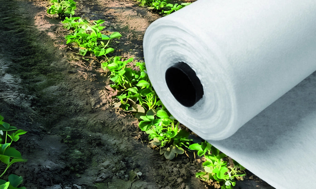 TELO DI PROTEZIONE ANTIGELO A ROTOLO  IN TNT mt. 1,6x250