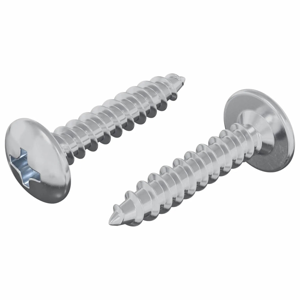 Chiodo autofilettante 2 pz Zincato 4 x 20 mm Acciaio CFW7404459