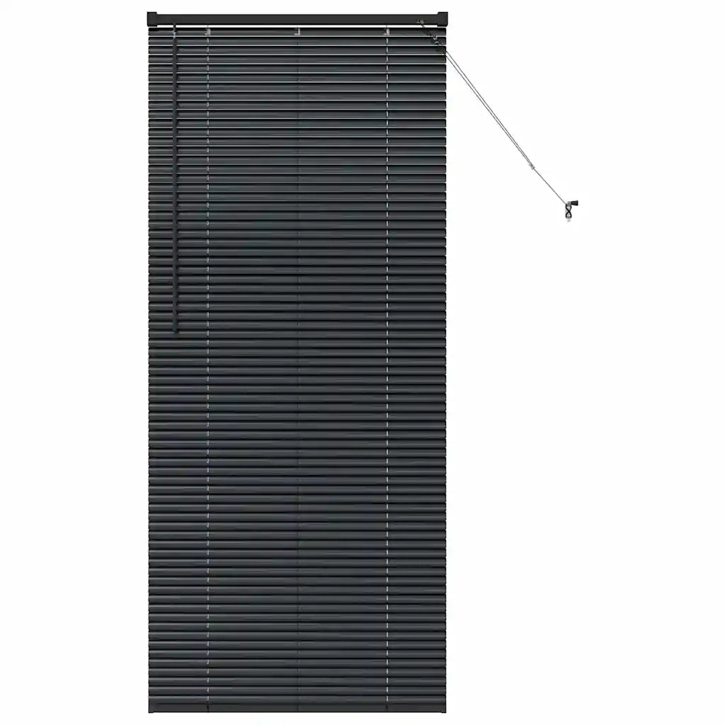 Tendaggi a Veneziana | Tenda a lamelle Nero 175 x 80 cm Alluminio